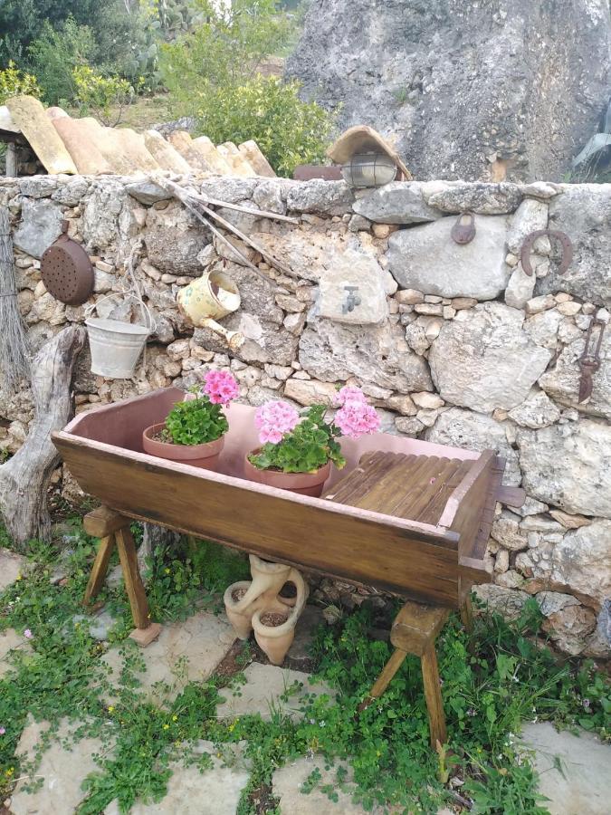 Il Corbezzolo Suite Appartament Castelluzzo Kültér fotó
